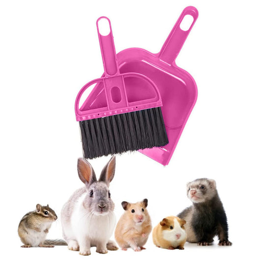 Mini Broom and Dustpan Set - Compact Cleaning Kit for Home, Car, Pet